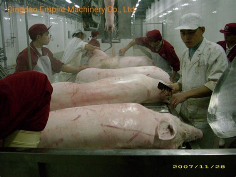 how many pigs are slaughtered in china